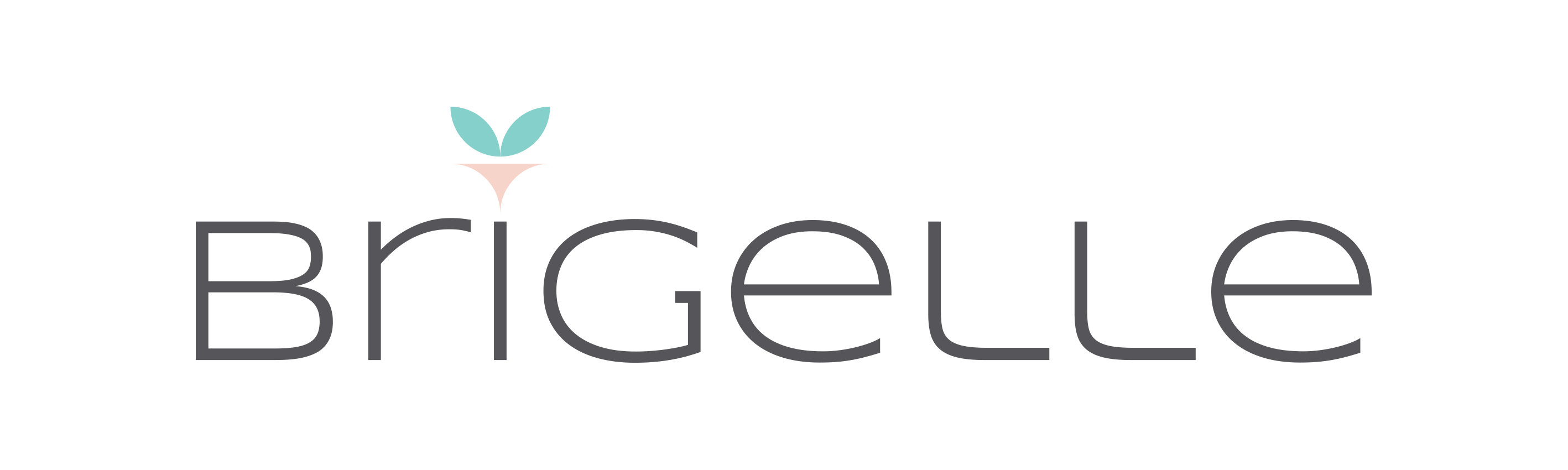 Lenceria y Corseteria BRIGELLE